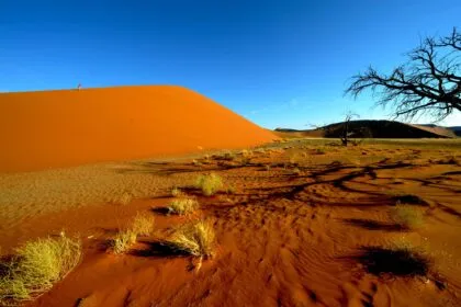 Flugzeugabsturz: Deutsche Unternehmerfamilie in Namibia ums Leben gekommen