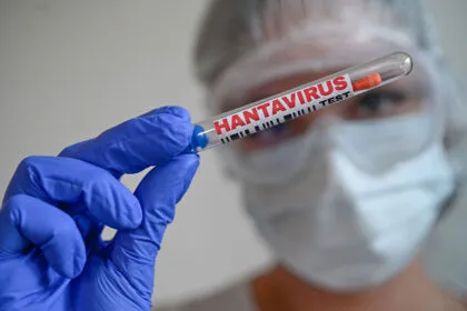 EU-Behörde: Keine Hinweise auf Mutation von Hantavirus
