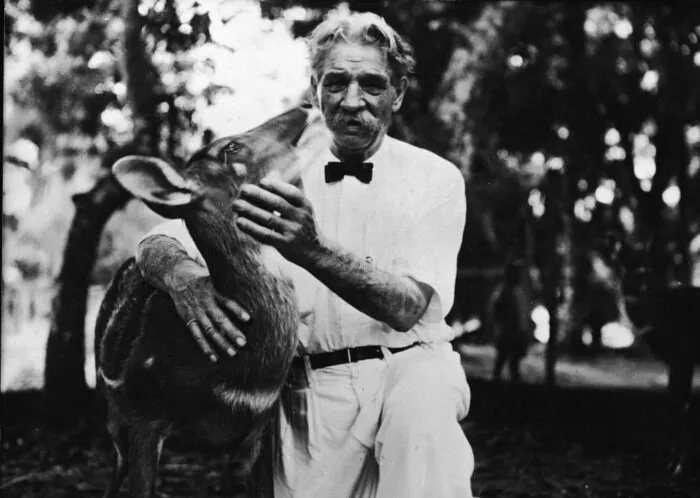 Der aus dem Elsass stammende deutsche Theologe, Arzt und Musiker Albert Schweitzer (1875–1965) mit eine Antilope auf dem Gelände des von ihm gegründeten Krankenhauses in Lambarene, Französisch-Äquatorialafrika, 1944. Foto: FPG/Getty Images