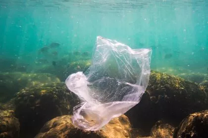 Strände auf den Kanaren offenbaren „tiefgehendes“ Mikroplastikproblem