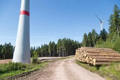 Bäume fällen für den Klimaschutz? - Windräder in deutschen Wäldern