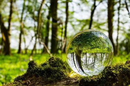Meteorologieprofessor: „Nicht einmal das IPCC spricht von Klima als existenzieller Bedrohung“