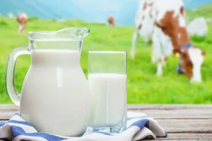 Milch: Vom Grundnahrungsmittel zum Gesundheitsrisiko?