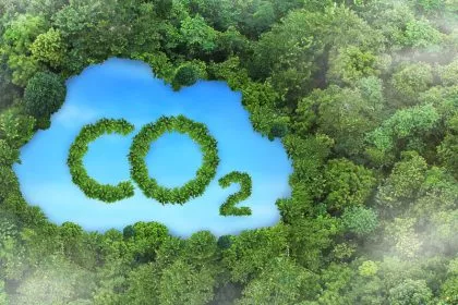 Fritz Vahrenholt: Die neueste CO₂-Bilanz
