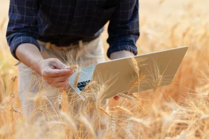 ChatGPT als Agrarberater? Ungenauigkeiten begünstigen Ernteverluste und Missernten
