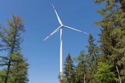 Kostenfalle Windrad-Verpachtung im Wald: Fachleute warnen vor unkalkulierbaren Risiken
