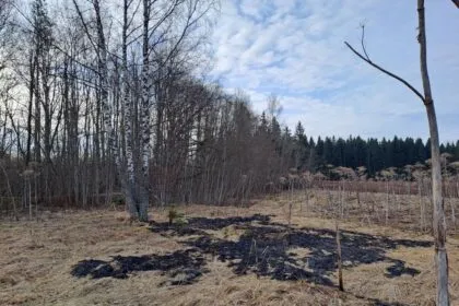 Drohne explodiert in Lettland - Absturz in See