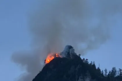 Feuerwehren kämpfen gegen Waldbrände