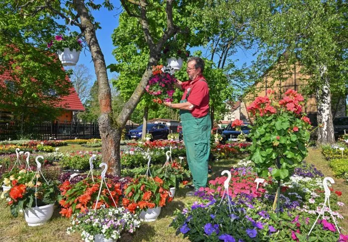 Blumen, so weit das Auge reicht: Der anstehende Muttertag bedeutet für Gärtner und Floristen jede Menge Arbeit. Schon gewusst? Vor 100 Jahren gab es den besonderen Tag erstmals in Deutschland.