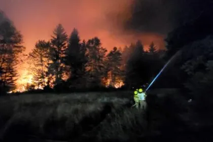 Waldbrand am Chiemsee - A8 wegen des Rauchs zeitweise gesperrt