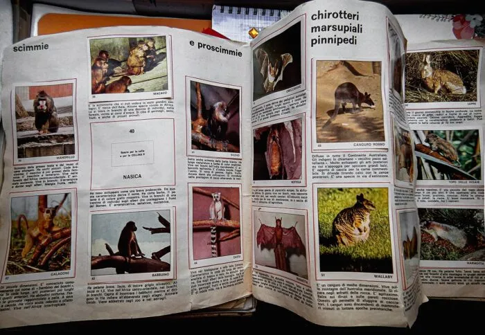 Unvollständiges Sammelalbum zum Thema „Die Welt der Tiere“, Panini,1970.