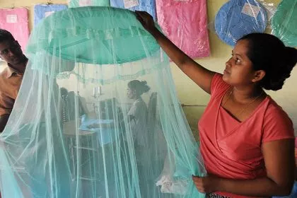 Dengue-Fieber breitet sich in Sri Lanka aus - trotz Mückenprojekts von Bill Gates