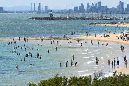 Australien: Vierter Hai-Angriff binnen zwei Tagen