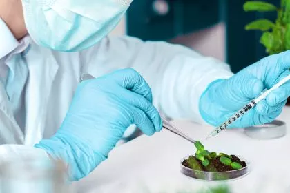 Die Grünen und ihr Widerspruch: gegen Genfood - aber für mRNA-Impfstoffe