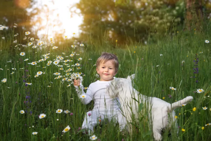 Ein Kind, ein Hund und viel Natur. Foto: Illia Peresada/iStock