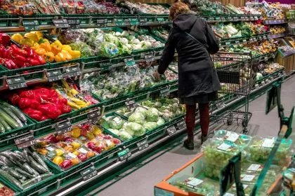 Selbstversorgung in Deutschland begrenzt - Landwirtschaft unter Druck