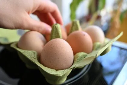 Spitzt sich der Eier-Engpass vor Ostern zu?