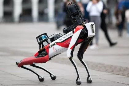 Roboterhund im Anmarsch? Das sollten Sie wissen