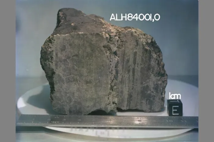 Meteorit vom Mars mit mikroskopisch kleine Fossilien