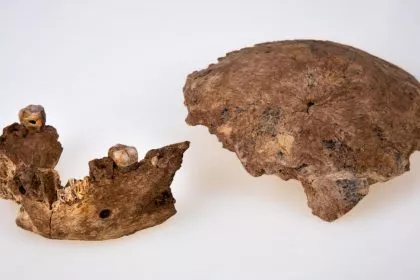 Neue Menschenart in Israel und DNA-Spuren in Denisova-Höhle entdeckt - „Drachenmann“ könnte Neandertaler ablösen