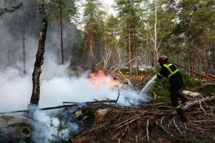 Waldbrand südlich von Paris: Feuerwehrmann gesteht Brandstiftung