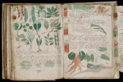 Voynich-Manuskript: Ein Blick in das geheimnisvollste Buch der Welt