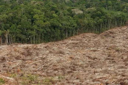 Studie: Flüsse tragen viel mehr Quecksilber in Ozeane als 1850