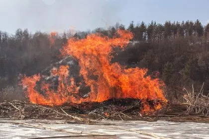 Fakten zu Waldbränden: Brennt es dieses Jahr mehr oder weniger als sonst?