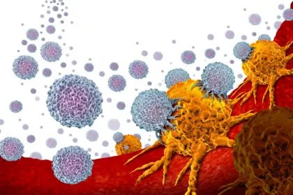 Lymphozyten: Die verborgene Kraft unserer Krebsabwehr