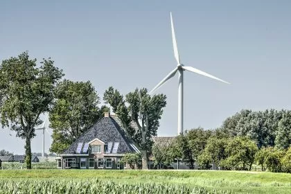 Hühner vom Winde verweht? Bruterfolg sinkt mit Windpark auf null