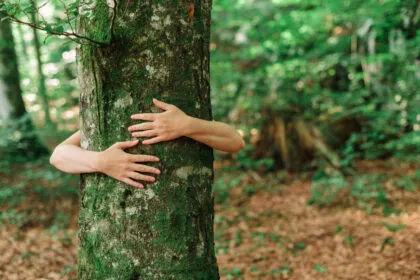 Bäume zum Umarmen - Hilfe gegen Stress und Abgeschlagenheit aus der Natur