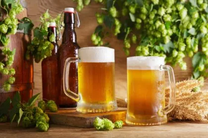 Hopfen und Malz gegoren: Das Bier und seine jahrtausendlange Geschichte
