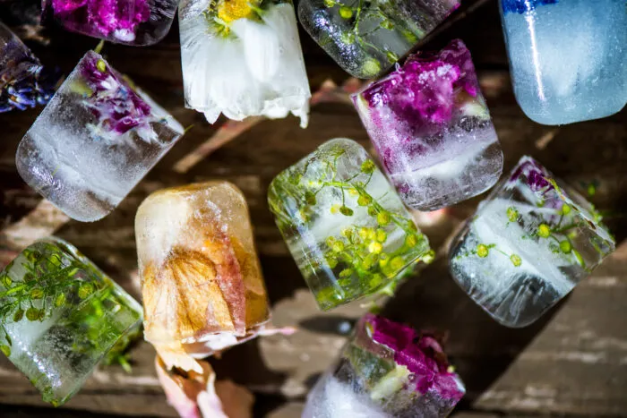 Kräuter und Blüten in Ice. Foto: Manuta/iStock