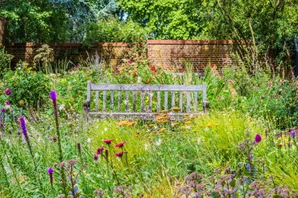 Artenreiches Gartenreich: Fünf Tipps für tierische Vielfalt im Garten