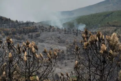 Großer Waldbrand bei Madrid außer Kontrolle
