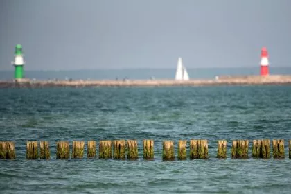 Studie verweist auf Thallium-Belastung der Ostsee