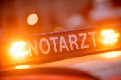 Hund greift Kind beim Spielen an - Vierjährige tot