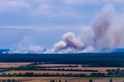 Müritz-Nationalpark: Komplizierter Waldbrand in munitionsbelastetem Gebiet