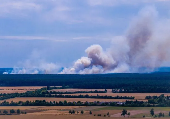 Rauchwolken bei Waldbrand im Müritz-Nationalpark.