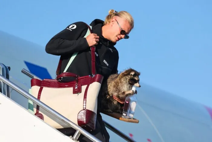 Erling Haaland und sein Waschbär.