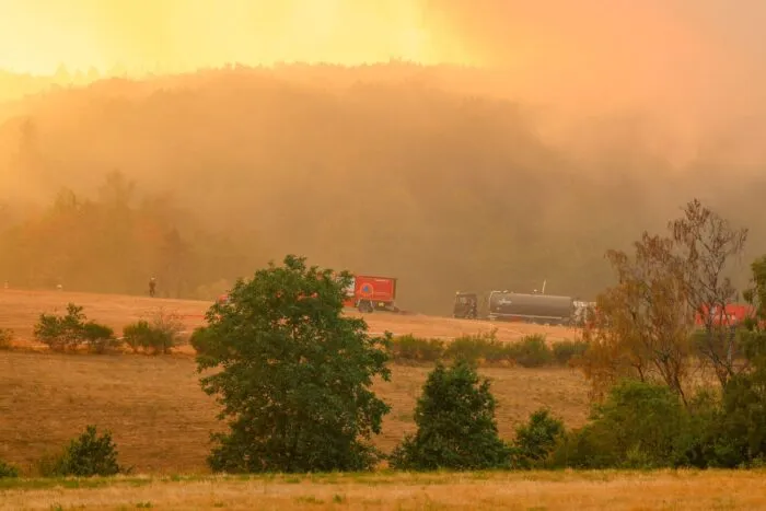Auch in der Nacht kämpfen Feuerwehrleute gegen die Flammen.