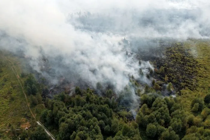 Rauchschwaden ziehen über den großen Waldbrand im Hohen Venn hinweg.