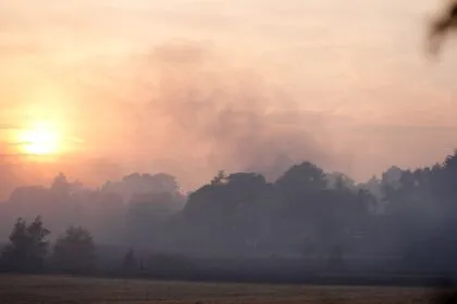 Übersicht zu Waldbränden: Diese Teile von Deutschland sind besonders betroffen
