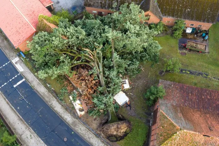 Ein Baum liegt nach einem Unwetter mit starken Stürmböen umgestürzt im Landkreis Lüneburg