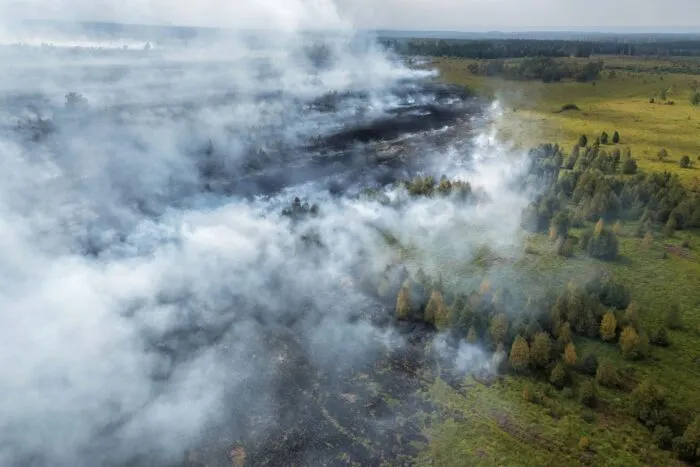 Rauchschwaden bei dem Brand im Hohen Venn