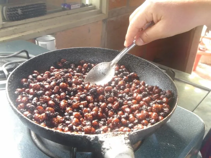 In Kolumbien kann man statt Popcorn in Kinos geröstete Ameisen essen