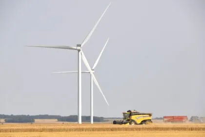 Deutscher Bauernverband gegen „staatliche Preisdiktate“: Streit um Pachtreform bei Windflächen