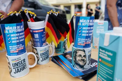 IWH-Studie zum AfD-Wahlprogramm: Milliardenlücke bei Wahlsieg?