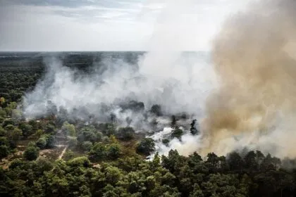 Waldbrand in den Niederlanden außer Kontrolle
