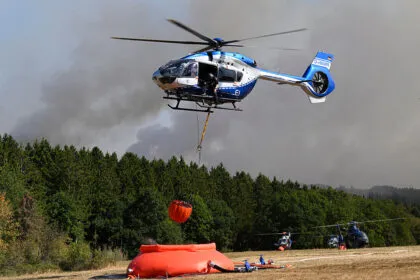 Waldbrände in Deutschland und weltweit - so ist die Situation wirklich